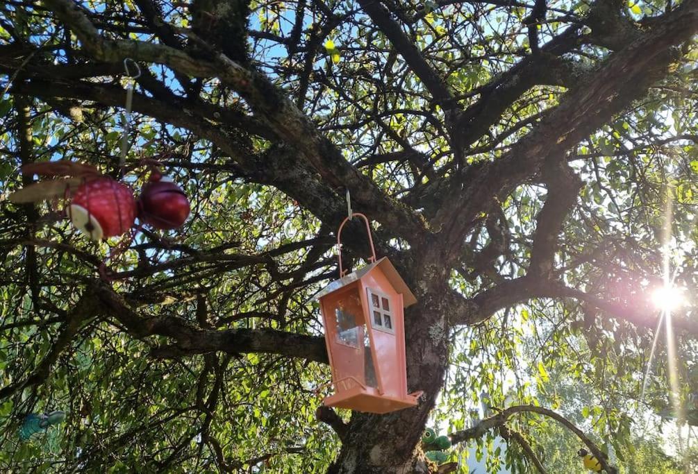 Apartament La Fruitiere Chaudenay Zewnętrze zdjęcie