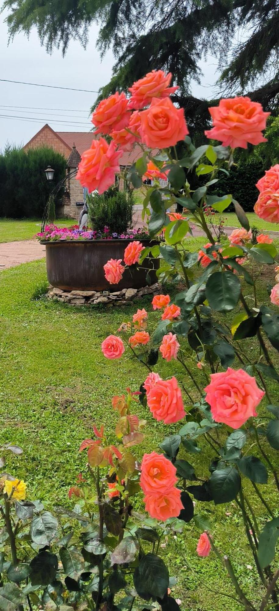 Apartament La Fruitiere Chaudenay Zewnętrze zdjęcie