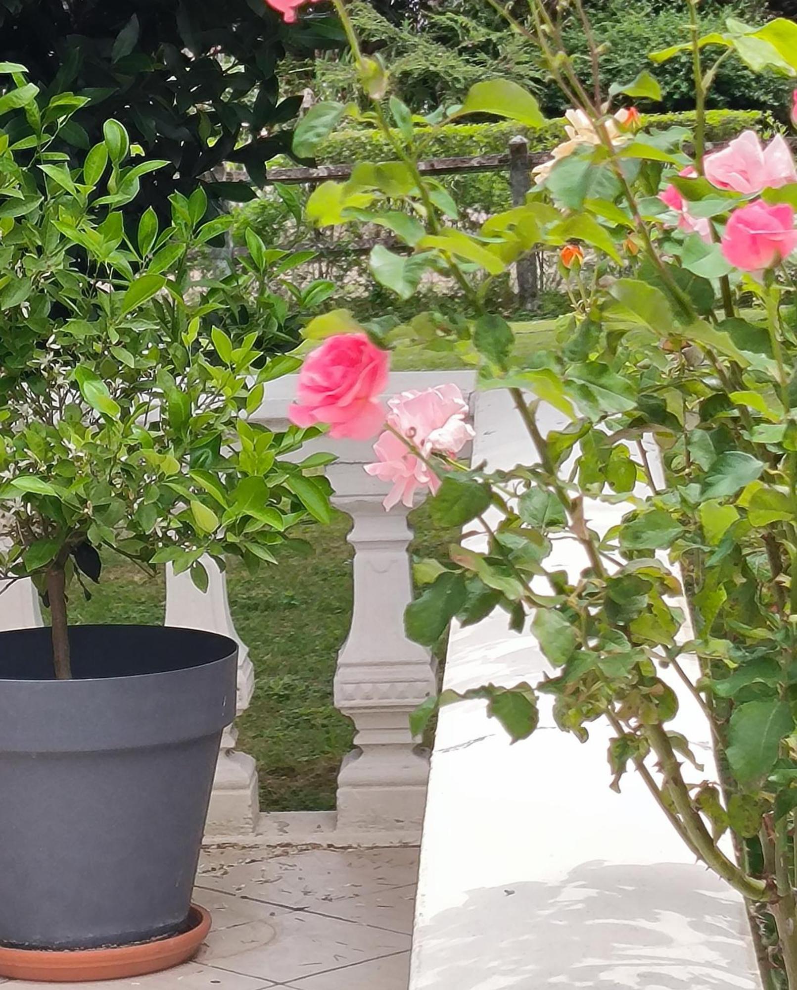 Apartament La Fruitiere Chaudenay Zewnętrze zdjęcie