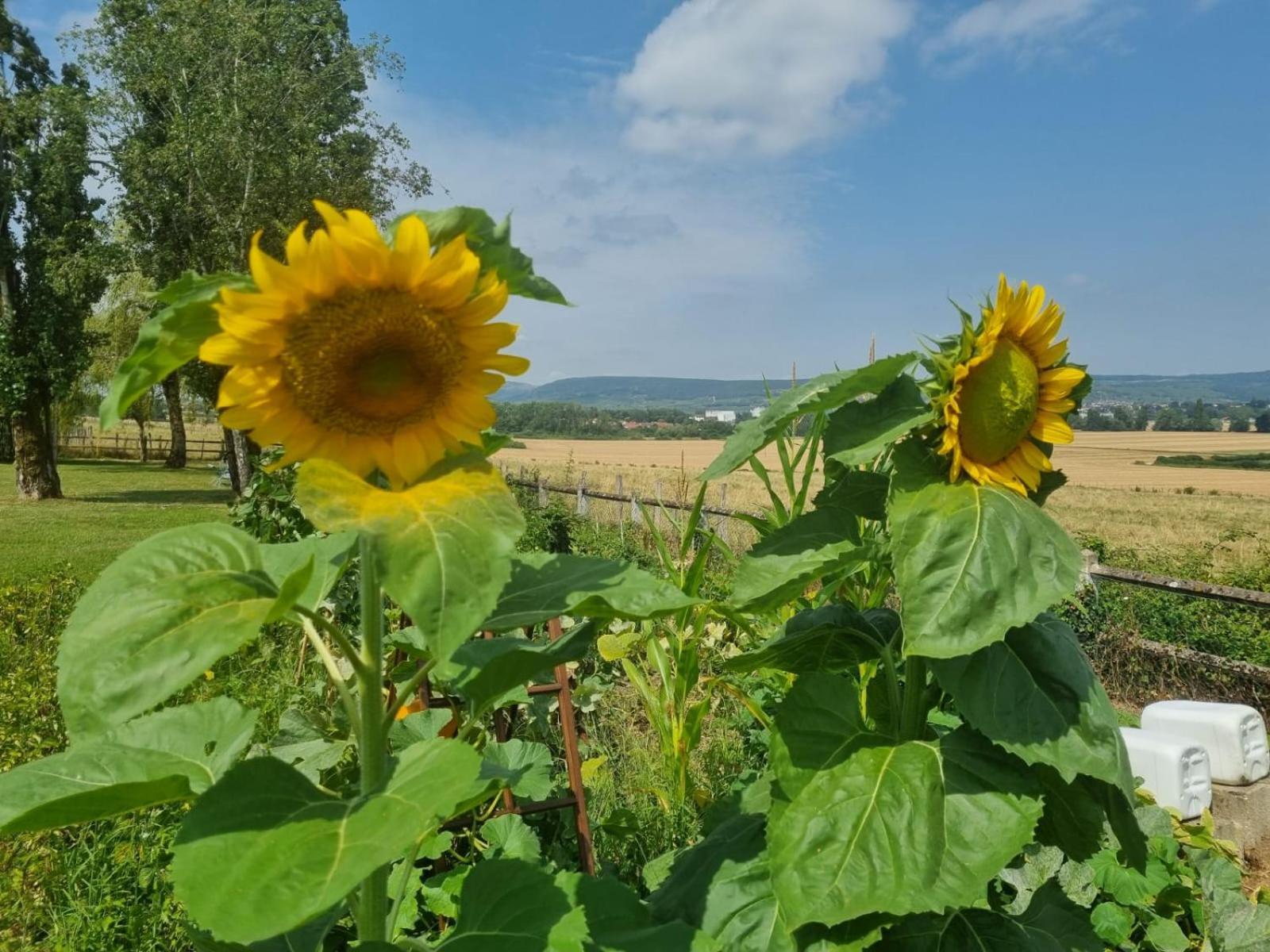 Apartament La Fruitiere Chaudenay Zewnętrze zdjęcie